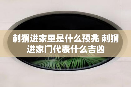 刺猬进家里是什么预兆 刺猬进家门代表什么吉凶