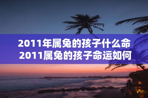 2011年属兔的孩子什么命 2011属兔的孩子命运如何