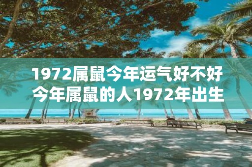 1972属鼠今年运气好不好 今年属鼠的人1972年出生的运势如何