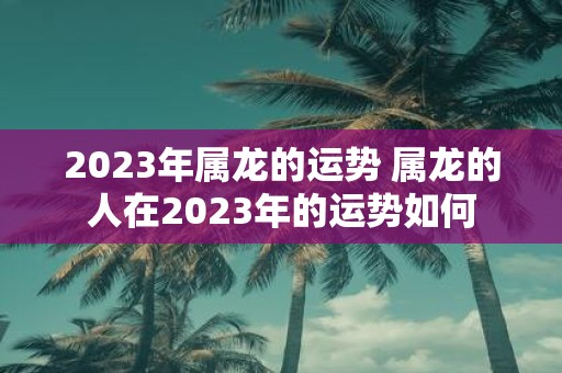 2025年属龙的运势 属龙的人在2025年的运势如何