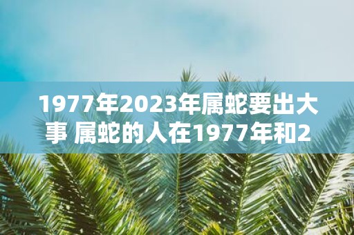 1977年2023年属蛇要出大事 属蛇的人在1977年和2023年是否会遭遇大事