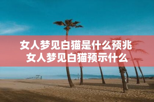 女人梦见白猫是什么预兆 女人梦见白猫预示什么