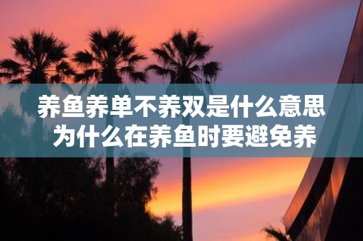 养鱼养单不养双是什么意思 为什么在养鱼时要避免养双而选择养单