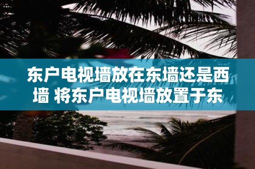 东户电视墙放在东墙还是西墙 将东户电视墙放置于东墙或西墙哪个更合适