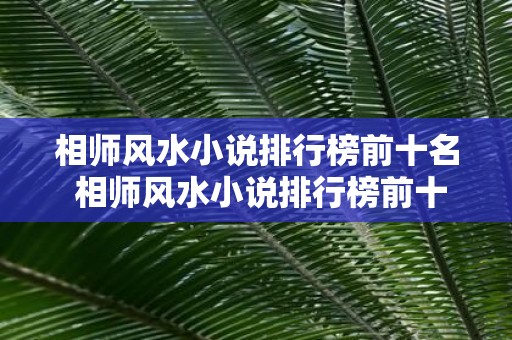 相师风水小说排行榜前十名 相师风水小说排行榜前十名是哪些