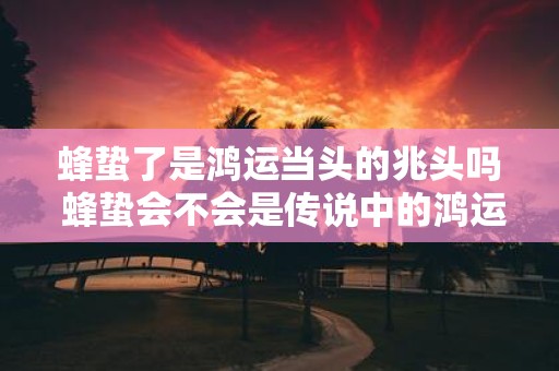 蜂蛰了是鸿运当头的兆头吗 蜂蛰会不会是传说中的鸿运当头暗示
