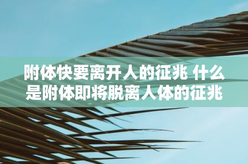 附体快要离开人的征兆 什么是附体即将脱离人体的征兆