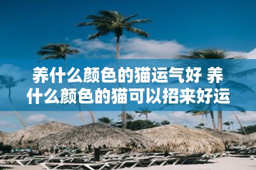 养什么颜色的猫运气好 养什么颜色的猫可以招来好运