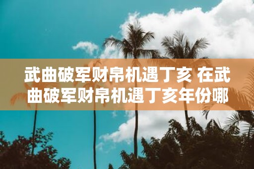 武曲破军财帛机遇丁亥 在武曲破军财帛机遇丁亥年份哪些行业或领域存在机遇和挑战