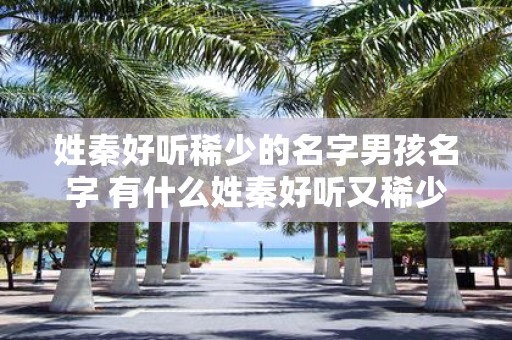 姓秦好听稀少的名字男孩名字 有什么姓秦好听又稀少的男孩名字