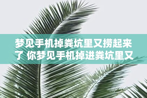 梦见手机掉粪坑里又捞起来了 你梦见手机掉进粪坑里又捞起来了吗