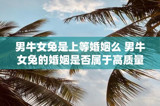 男牛女兔是上等婚姻么 男牛女兔的婚姻是否属于高质量婚姻