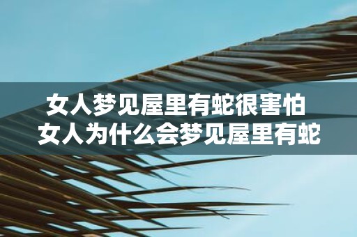 女人梦见屋里有蛇很害怕 女人为什么会梦见屋里有蛇很害怕