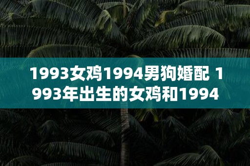 1993女鸡1994男狗婚配 1993年出生的女鸡和1994年出生的男狗适合结婚吗