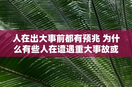人在出大事前都有预兆 为什么有些人在遭遇重大事故或灾难前会有预兆