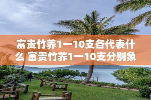 富贵竹养1一10支各代表什么 富贵竹养1一10支分别象征什么意义