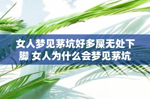女人梦见茅坑好多屎无处下脚 女人为什么会梦见茅坑里有很多屎而无法落脚