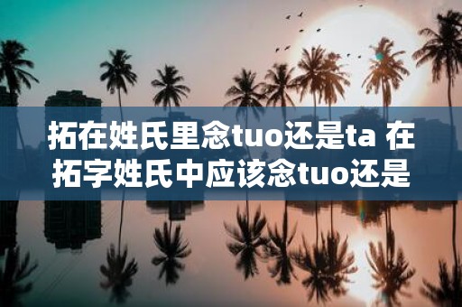拓在姓氏里念tuo还是ta 在拓字姓氏中应该念tuo还是ta