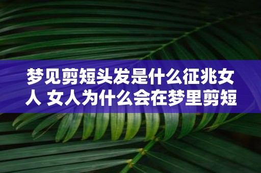 梦见剪短头发是什么征兆女人 女人为什么会在梦里剪短头发