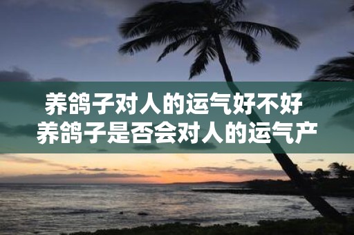 养鸽子对人的运气好不好 养鸽子是否会对人的运气产生影响