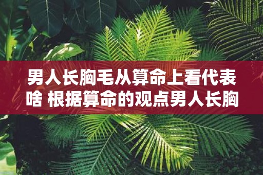 男人长胸毛从算命上看代表啥 根据算命的观点男人长胸毛代表什么含义