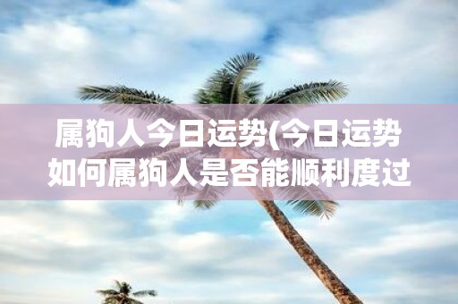 属狗人今日运势(今日运势如何属狗人是否能顺利度过一天)
