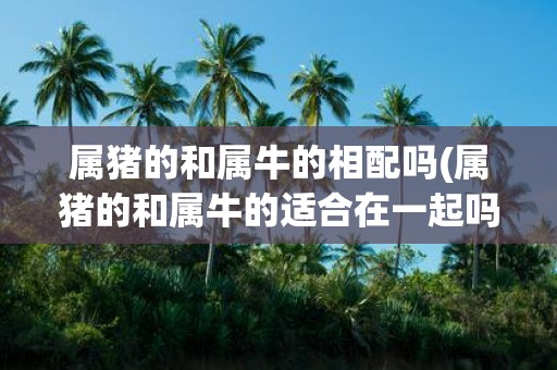属猪的和属牛的相配吗(属猪的和属牛的适合在一起吗)