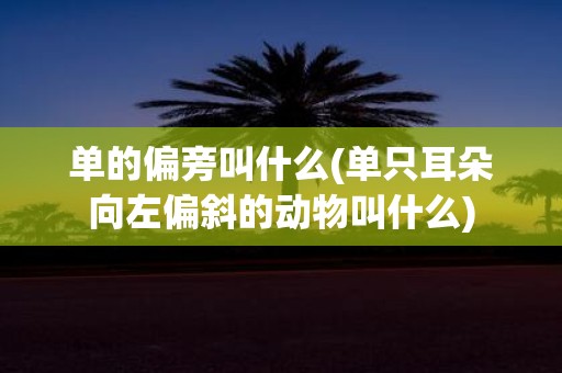 单的偏旁叫什么(单只耳朵向左偏斜的动物叫什么)