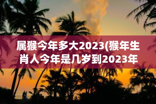 属猴今年多大2025(猴年生肖人今年是几岁到2025年又会是多少岁)