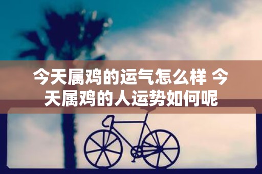 今天属鸡的运气怎么样 今天属鸡的人运势如何呢