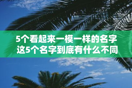 5个看起来一模一样的名字 这5个名字到底有什么不同