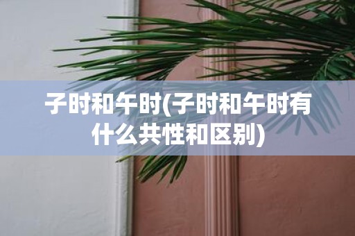 子时和午时(子时和午时有什么共性和区别)