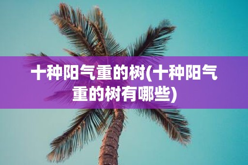 十种阳气重的树(十种阳气重的树有哪些)