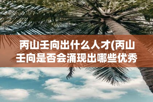 丙山壬向出什么人才(丙山壬向是否会涌现出哪些优秀人才)