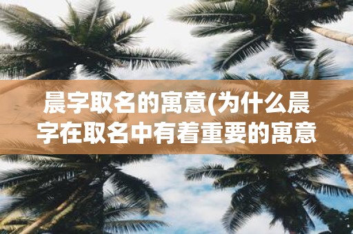 晨字取名的寓意(为什么晨字在取名中有着重要的寓意)