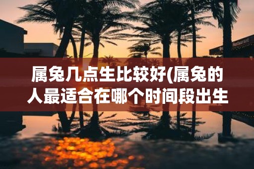 属兔几点生比较好(属兔的人最适合在哪个时间段出生)