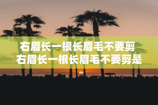 右眉长一根长眉毛不要剪 右眉长一根长眉毛不要剪是为什么