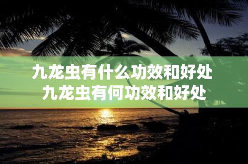 九龙虫有什么功效和好处 九龙虫有何功效和好处