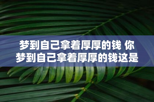 梦到自己拿着厚厚的钱 你梦到自己拿着厚厚的钱这是什么预示呢