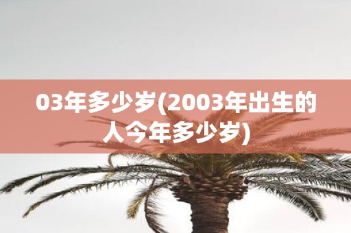 03年多少岁(2003年出生的人今年多少岁)