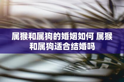 属猴和属狗的婚姻如何 属猴和属狗适合结婚吗