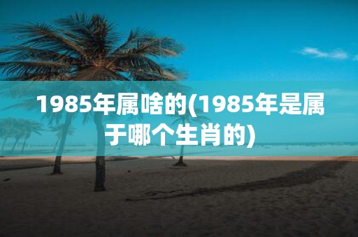 1985年属啥的(1985年是属于哪个生肖的)