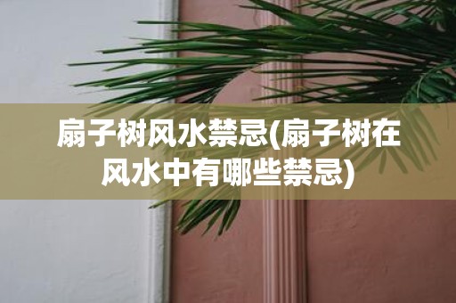 扇子树风水禁忌(扇子树在风水中有哪些禁忌)