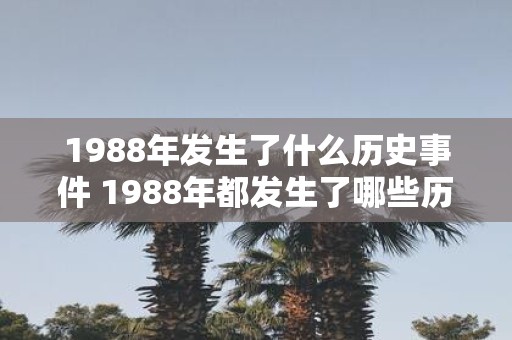 1988年发生了什么历史事件 1988年都发生了哪些历史事件