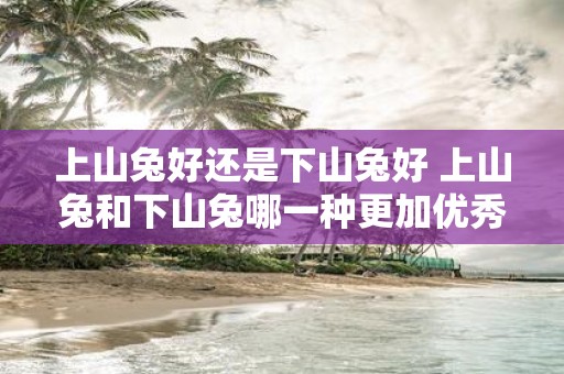 上山兔好还是下山兔好 上山兔和下山兔哪一种更加优秀