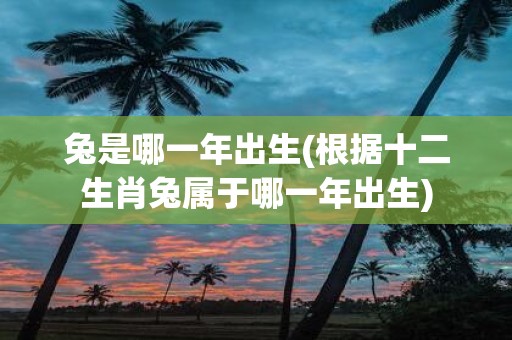 兔是哪一年出生(根据十二生肖兔属于哪一年出生)