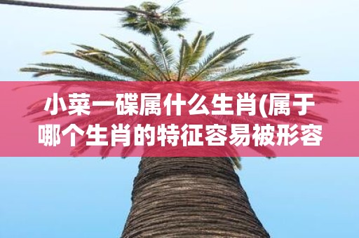 小菜一碟属什么生肖(属于哪个生肖的特征容易被形容为小菜一碟)