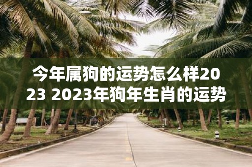 今年属狗的运势怎么样2025 2025年狗年生肖的运势如何
