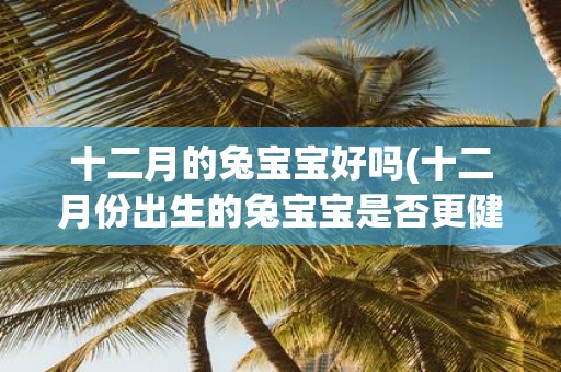 十二月的兔宝宝好吗(十二月份出生的兔宝宝是否更健康可爱)