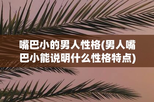 嘴巴小的男人性格(男人嘴巴小能说明什么性格特点)